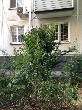 Купить однокомнатную квартиру на улице 2-я Заречная в Краснодаре. Вариант № 10232649, 17, площадь - квм, цена 4200000 рублей