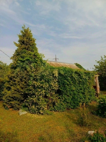 Купить дом в Москве. Вариант № 9581514, 5, площадь - квм, цена 1600000 рублей