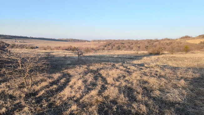 Купить земельный участок в Республике Крым. Вариант № 29221, 1, площадь -  квм, цена 800000 рублей