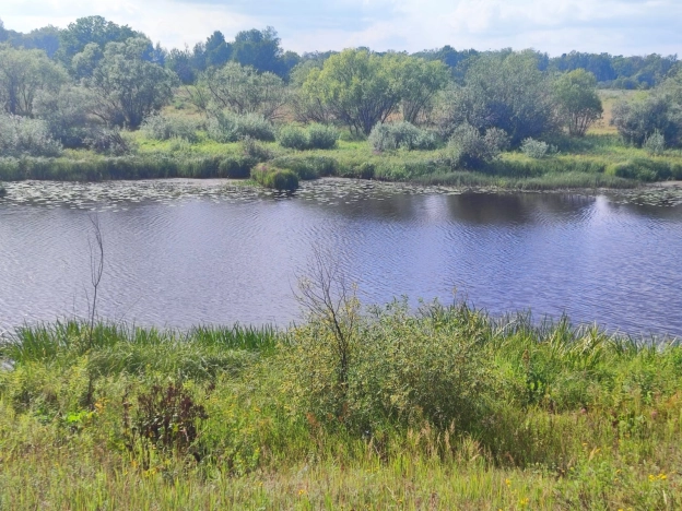 Купить дом в Петушках. Вариант № 1507815, 23, площадь -  квм, цена 6000000 рублей