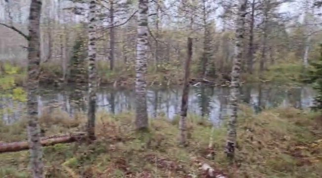 Купить земельный участок в Алтайском крае. Вариант № 7825788, 2, площадь -  квм, цена 4000000 рублей