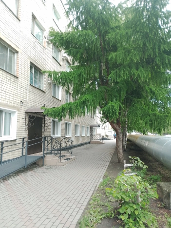 Купить комнату в Благовещенске. Вариант № 769219, 0, площадь - квм, цена 1500000.0000 рублей