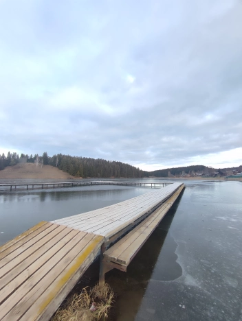 Купить земельный участок в Пермском крае. Вариант № 9939020, 8, площадь -  квм, цена 550000 рублей