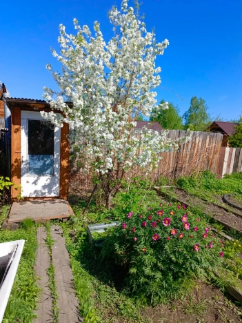 Купить дом в Республике Бурятия. Вариант № 33384, 7, площадь -  квм, цена 2700000 рублей