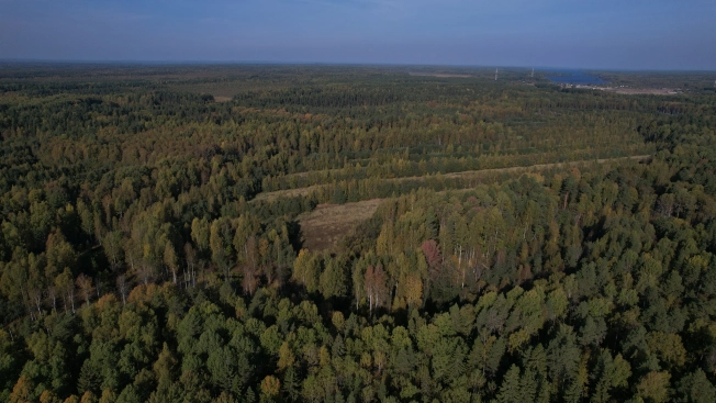 Купить земельный участок в Республике Карелия. Вариант № 13851, 25, площадь -  квм, цена 6000000 рублей