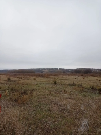 Купить земельный участок в Воронеже. Вариант № 24364, 1, площадь -  квм, цена 3120000 рублей