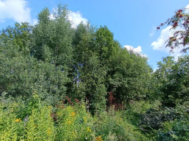 Купить земельный участок на улице Полянка в Владимире. Вариант № 1796341, 1, площадь -  квм, цена 780000 рублей