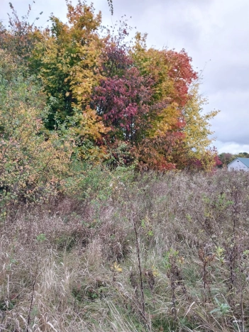 Купить земельный участок в Владимире. Вариант № 2960414, 6, площадь -  квм, цена 1200000 рублей