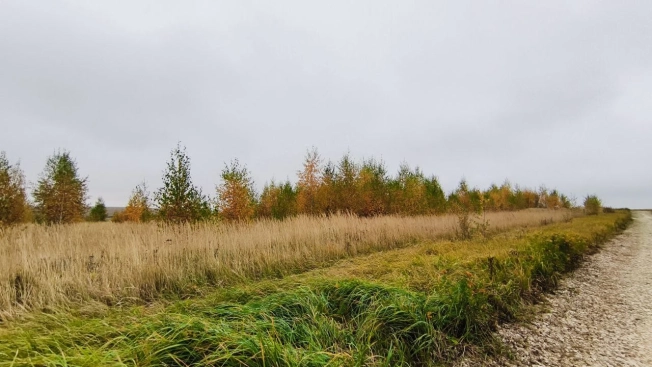 Купить земельный участок в Владимире. Вариант № 2873592, 6, площадь -  квм, цена 580000 рублей