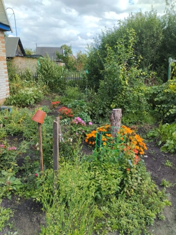 Купить дом в Омске. Вариант № 2790, 15, площадь -  квм, цена 650000 рублей