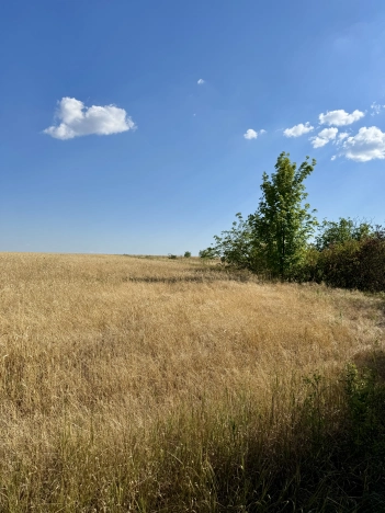 Купить земельный участок в Таганроге. Вариант № 36409, 1, площадь -  квм, цена 350000 рублей