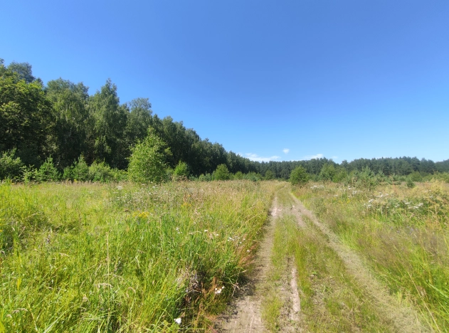 Купить земельный участок в районе Октябрьский в Владимире. Вариант № 9806, 5, площадь -  квм, цена 2400000 рублей