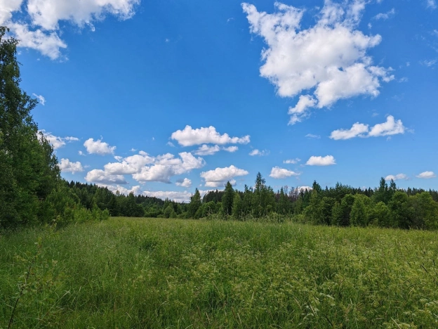 Купить земельный участок на улице Южный склон в Ленинградской области. Вариант № 5830117, 0, площадь -  квм, цена 2650000 рублей