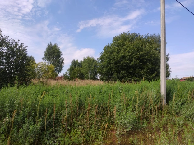 Купить земельный участок в Пермском крае. Вариант № 2105802, 5, площадь -  квм, цена 1700000 рублей