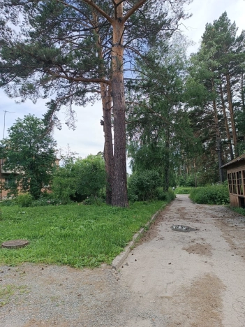 Купить трехкомнатную квартиру на улице 94-й Военный Городок в Новосибирской области. Вариант № 43035, 2, площадь -  квм, цена 3300000 рублей