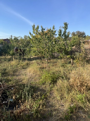 Купить дачу в Волгограде. Вариант № 5828894, 18, площадь -  квм, цена 1100000 рублей