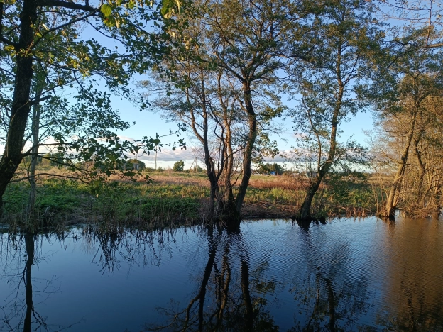 Купить земельный участок в Калининграде. Вариант № 7229633, 3, площадь -  квм, цена 1150000 рублей
