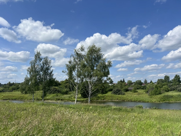 Купить земельный участок в Коломне. Вариант № 16282, 12, площадь -  квм, цена 970000 рублей