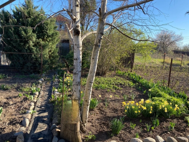 Купить дачу в Краснодарском крае. Вариант № 23088, 14, площадь -  квм, цена 1700000 рублей