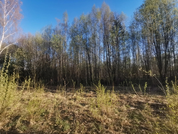 . Вариант № 37225, 3, площадь -  квм, цена 900000 рублей