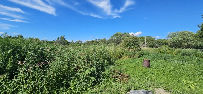 Купить земельный участок в Южно-Сахалинске. Вариант № 3199324, 6, площадь -  квм, цена 1800000 рублей