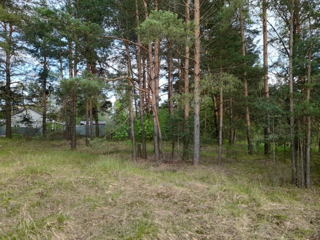 Купить земельный участок в Владимире. Вариант № 1914, 4, площадь -  квм, цена 1290000 рублей