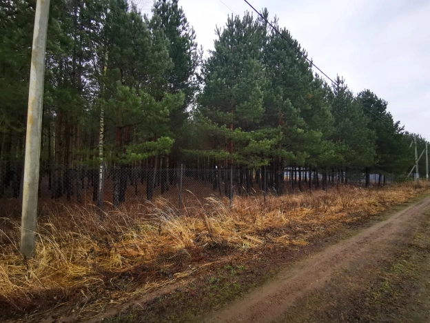 Купить земельный участок в Раменском. Вариант № 29745, 6, площадь -  квм, цена 4700000 рублей