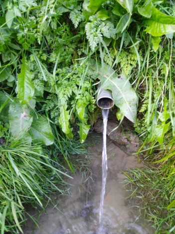 Купить дачу в Владимирской области. Вариант № 7033, 12, площадь -  квм, цена 750000 рублей