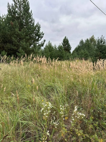 Купить земельный участок в Воронеже. Вариант № 3780263, 1, площадь - квм, цена 17980000 рублей