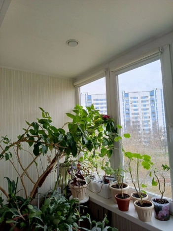 Купить квартиру в Москве. Вариант № 9509477, 16, площадь -  квм, цена 15900000 рублей