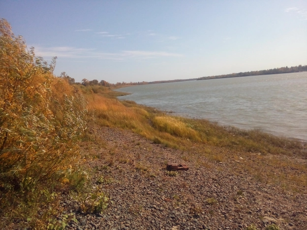 Купить земельный участок в Омской области. Вариант № 2736, 5, площадь -  квм, цена 390000 рублей