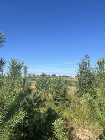 Купить земельный участок в Коврове. Вариант № 3777715, 4, площадь -  квм, цена 8058000 рублей