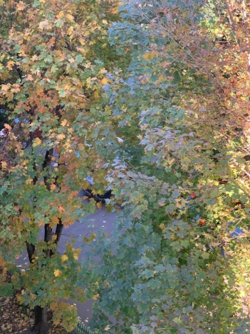 Купить квартиру в Мытищах. Вариант № 9450436, 1, площадь -  квм, цена 4500000 рублей