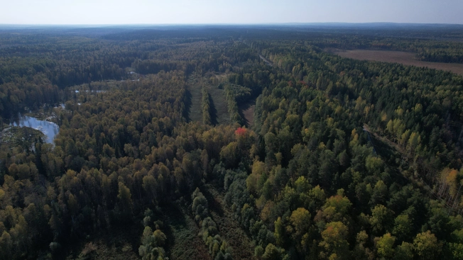 Купить земельный участок в Республике Карелия. Вариант № 13851, 10, площадь -  квм, цена 6000000 рублей