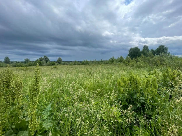 Купить земельный участок в Новосибирске. Вариант № 50415, 6, площадь -  квм, цена 350000 рублей