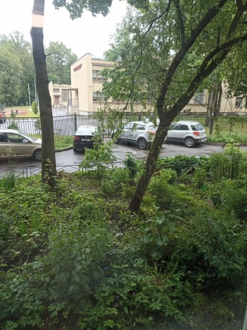 Купить двухкомнатную квартиру в районе Красногвардейский в Санкт-Петербурге. Вариант № 1634768, 4, площадь -  квм, цена 9500000 рублей