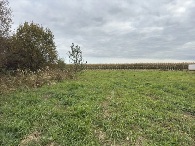 Купить земельный участок в Коврове. Вариант № 6827421, 2, площадь -  квм, цена 450000 рублей