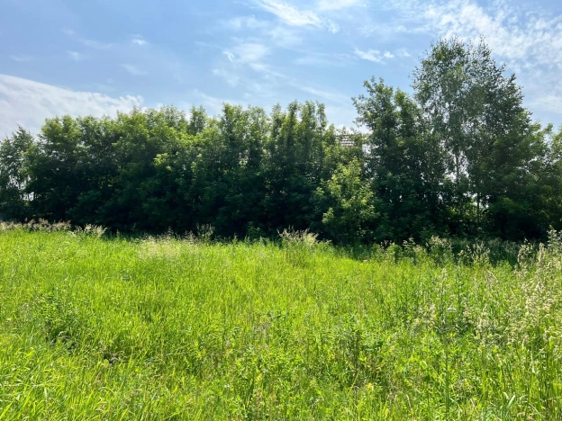 Купить дом на улице Благодарная в Бердске. Вариант № 40221, 4, площадь -  квм, цена 16490000 рублей