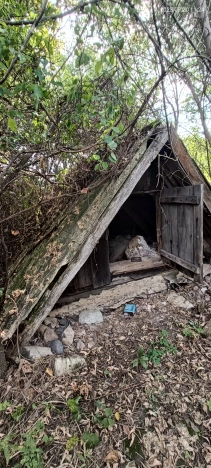 Купить дом в Приморском крае. Вариант № 5921688, 19, площадь -  квм, цена 1500000 рублей