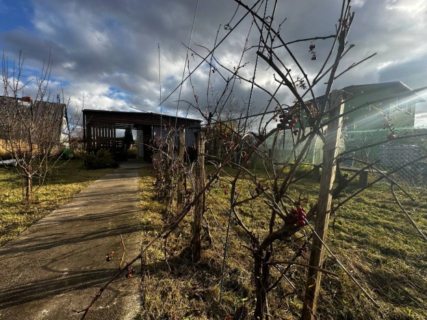 Купить земельный участок в Калининграде. Вариант № 9458381, 29, площадь -  квм, цена 2500000 рублей