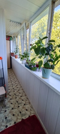 Купить двухкомнатную квартиру в Приморском крае. Вариант № 2461198, 0, площадь -  квм, цена 7300000 рублей