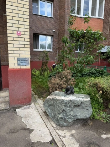 Купить однокомнатную квартиру на улице Рабочая в Щёлкове. Вариант № 13363, 22, площадь -  квм, цена 4890000 рублей