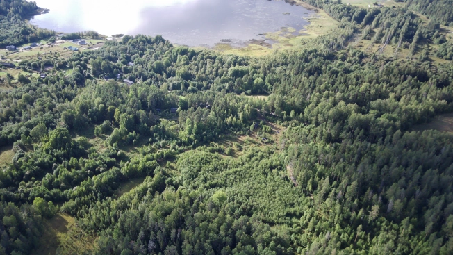 Купить земельный участок в Республике Карелия. Вариант № 5242343, 12, площадь -  квм, цена 800000 рублей