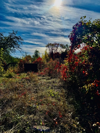Купить дом в Микрорайоне Пролески, Старый Оскол в Старом Осколе. Вариант № 6153459, 39, площадь -  квм, цена 9000000 рублей
