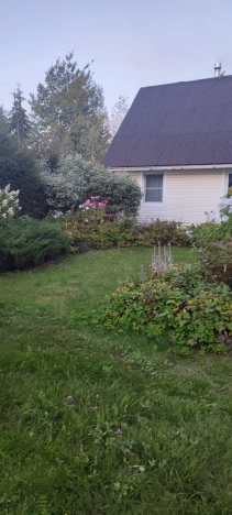 Купить дом в Санкт-Петербурге. Вариант № 9001680, 7, площадь -  квм, цена 5000000 рублей