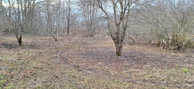 Купить земельный участок в Калининграде. Вариант № 25170, 6, площадь - квм, цена 1089000 рублей