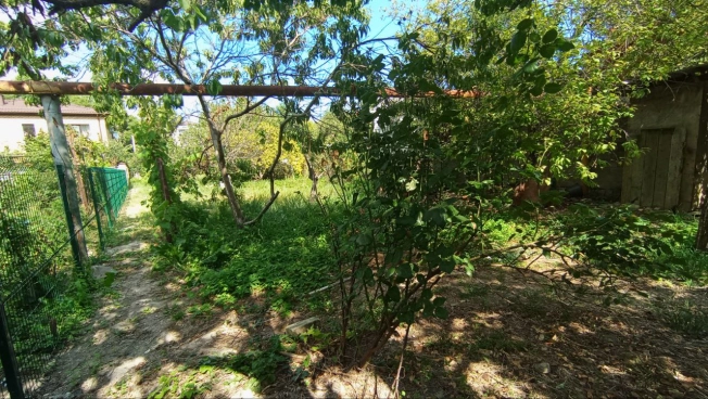 Купить земельный участок в Новороссийске. Вариант № 1329144, 6, площадь -  квм, цена 15448000 рублей