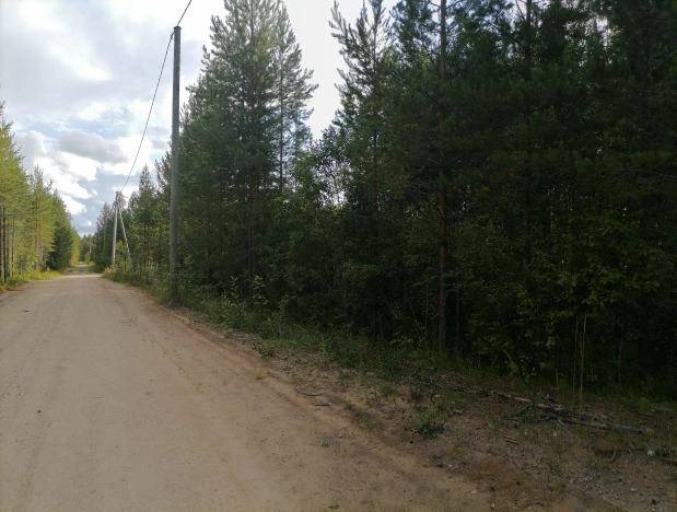 Купить земельный участок в Республике Коми. Вариант № 2015344, 2, площадь -  квм, цена 560000 рублей