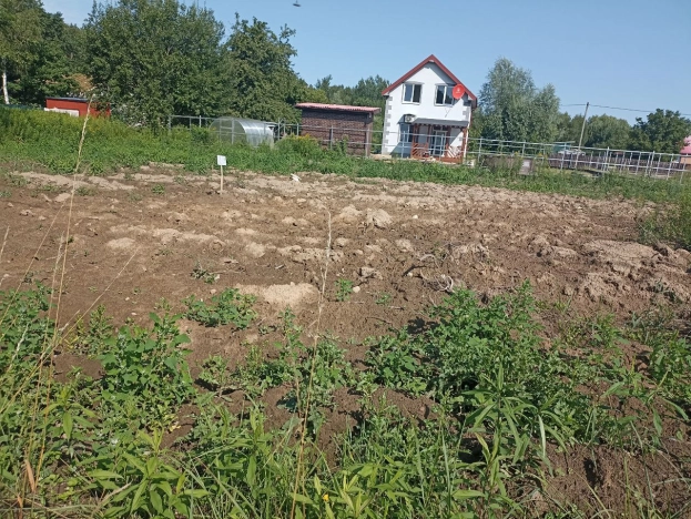 Купить земельный участок в Калининграде. Вариант № 10333, 1, площадь - квм, цена 380000 рублей