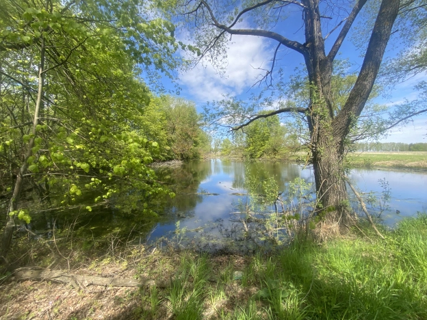 Купить дачу в Луховицах. Вариант № 41423, 9, площадь -  квм, цена 2350000 рублей